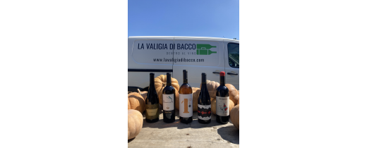 Rossi, caldi, intimi e…naturali! La Valigia di Bacco vi propone 5 vini per accompagnare l’arrivo dell’autunno